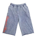Remember When Logo Shorts (Navy/Red)