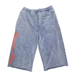 Remember When Logo Shorts (Navy/Red)