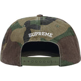Painted 5-Panel