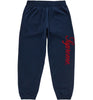 Supreme Embroidered Script Sweatpants (Navy)