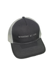 Winning At Life Trucker Hat