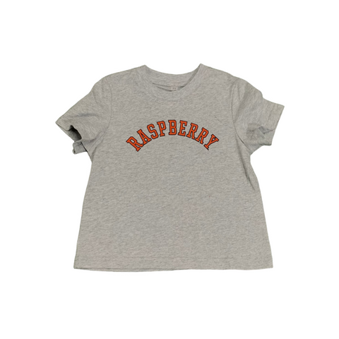 Raspberry Kids T-shirt Grey