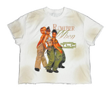 TLC TEE V2